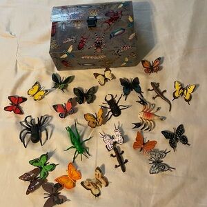 Colorful Insect and Butterfly Collection Box
